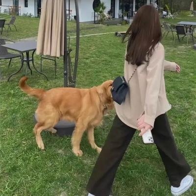 你才女巫,你全家都女巫